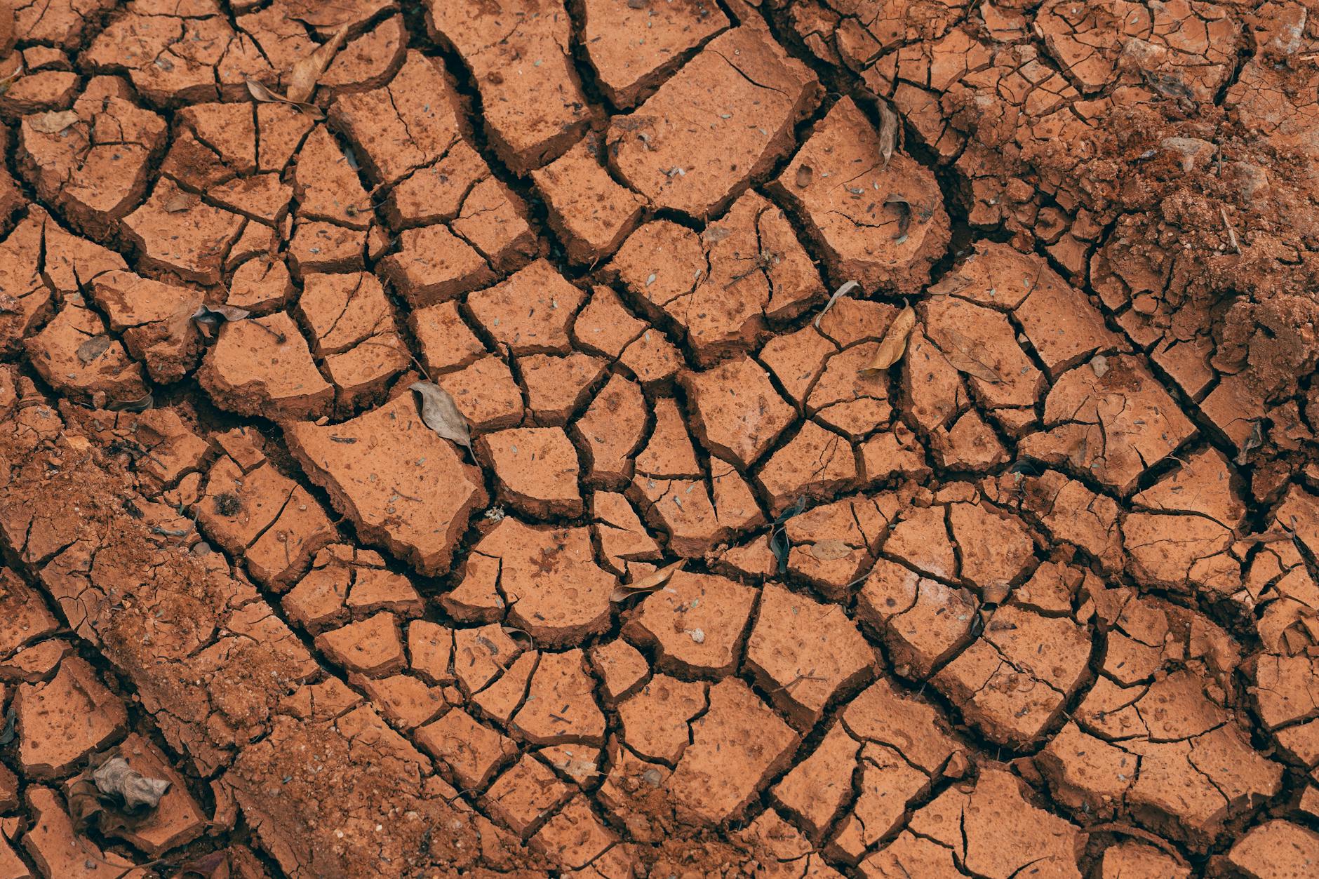 Tim profesional melakukan jasa soil test cepat untuk analisis tanah akurat dalam waktu singkat