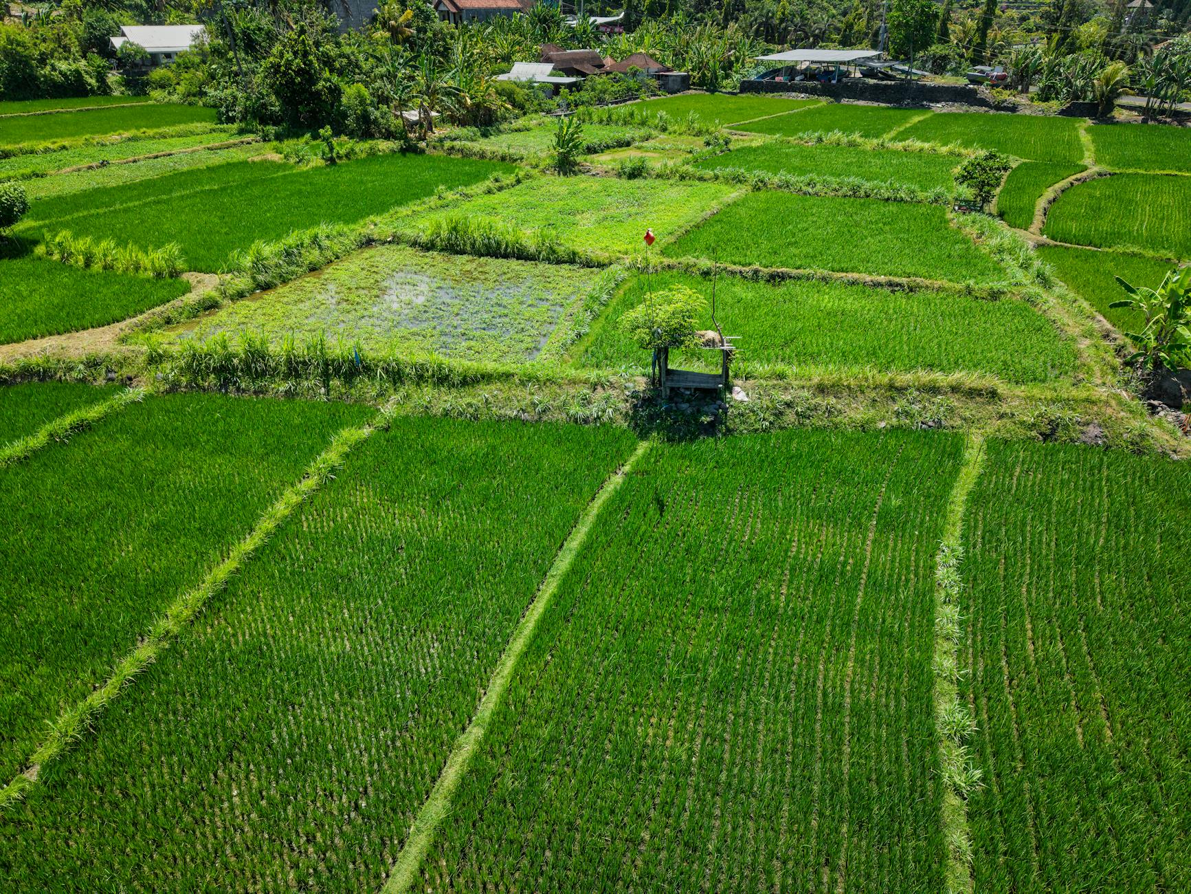 Tim ahli melakukan soil test pada lokasi proyek konstruksi di Bali untuk memastikan kestabilan tanah.