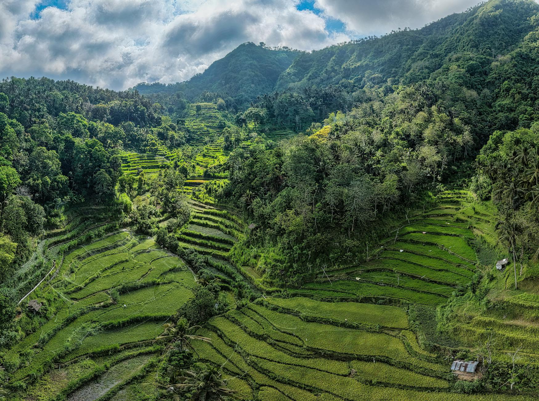 Hasil uji tanah proyek konstruksi di Bali menunjukkan kepadatan dan komposisi optimal.