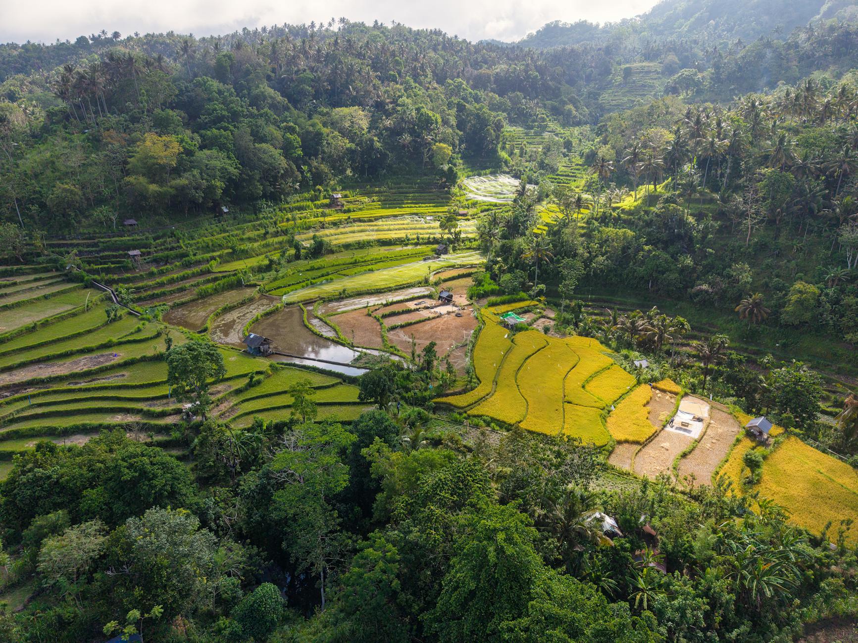 Tim profesional melakukan boring tanah di Bali dengan peralatan modern, memastikan data geoteknik akurat.