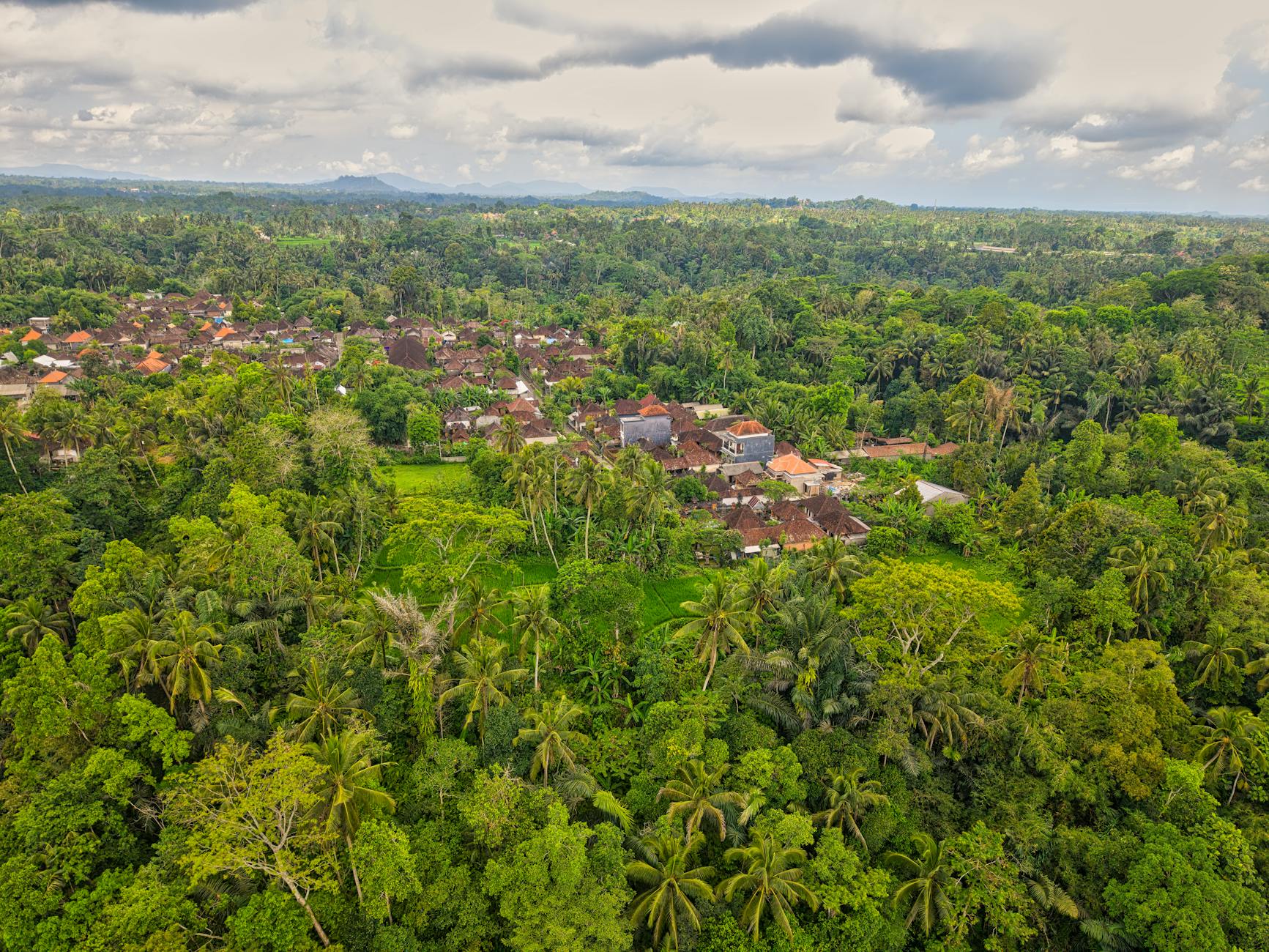 Hasil uji tanah di Denpasar, Bali menunjukkan kadar nutrisi dan pH optimal untuk pertanian