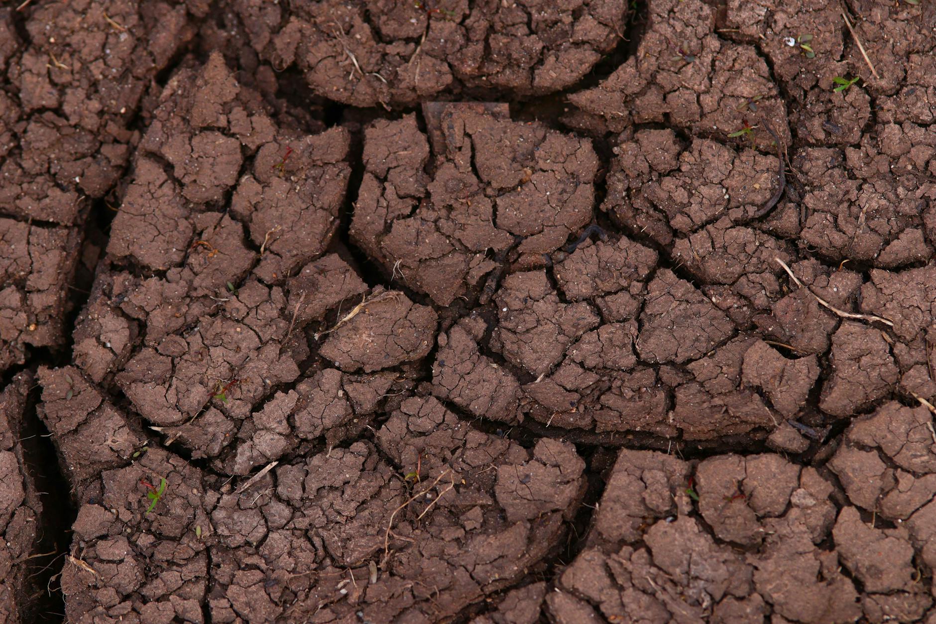 Pentingnya soil test pondasi untuk memastikan kestabilan tanah sebelum pembangunan struktur bangunan