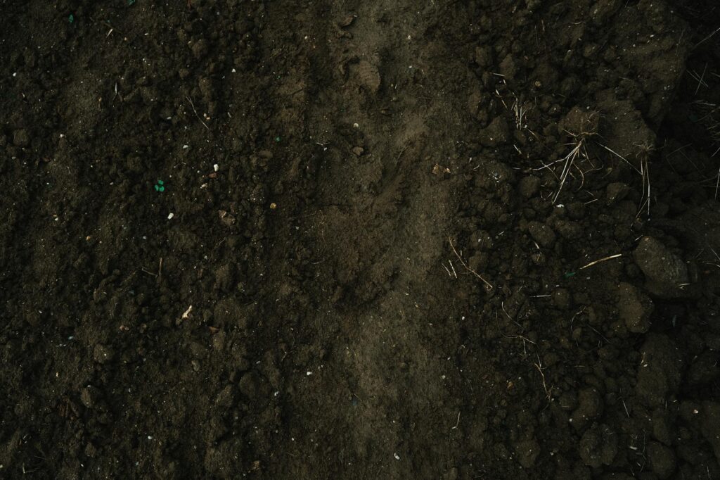 Tim ahli melakukan soil test akurat untuk pertanian, memastikan kualitas tanah terpercaya.